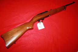 Ruger 10/22 .22LR Carbine