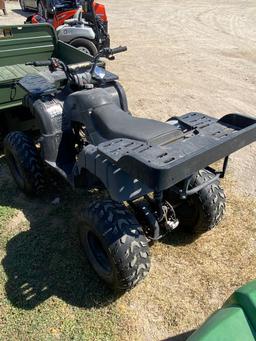 TaoTao 250CC Atv With Reverse