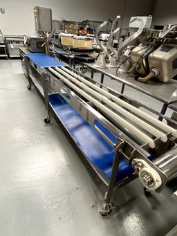 BOSTON CUSTOM ALL S/S 12'X4" ELECTRIC CONVEYOR SYSTEM W/ADJUSTABLE HEIGHT CASTERS MOD. H07620