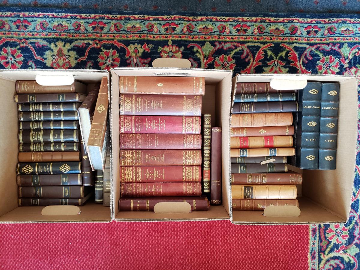 Large lot, 19th/20th Century Danish/Scandinavian Antiquarian Books (3 boxes)