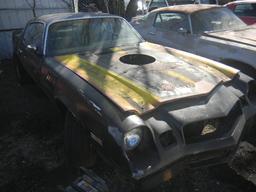 1979 Chevy Z28 Camaro Black/Yellow