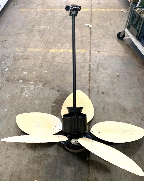 49" H Ceiling Fans