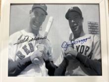 Ted Williams, Joe Dimaggio Signed Photo Framed Baseball Greats