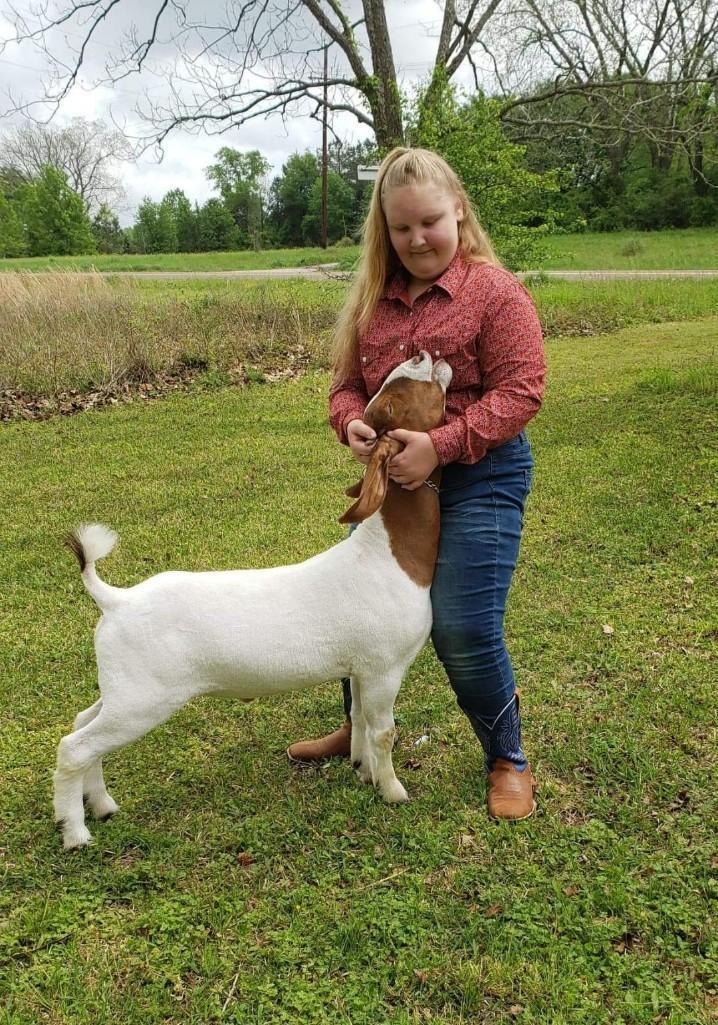 Goat - Alyssa Hickman - Kennard 4H