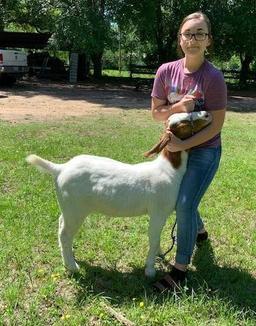 Goats - Kayla Hope - Tarkington 4-H