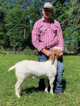 Goats - Nathan Wells - Tarkington 4-H