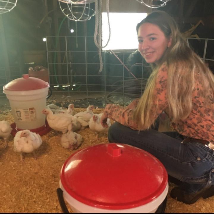 Broilers - Connie Pope - Cleveland FFA