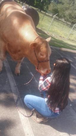 Market Steer - Angelina Vargas - Wunsche FFA