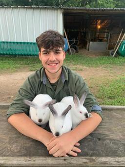 Pen of 3 Rabbits - Robert Lancaster - Spring 4-H