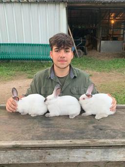 Pen of 3 Rabbits - Robert Lancaster - Spring 4-H