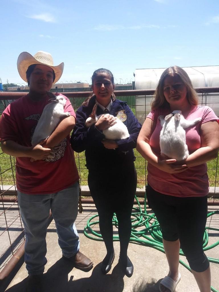 Pen of 3 Rabbits - Liliana Vega - Westfield FFA