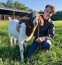 Market Goat - Riley Peacock - Spring FFA