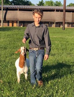 Market Goat - Riley Peacock - Spring FFA