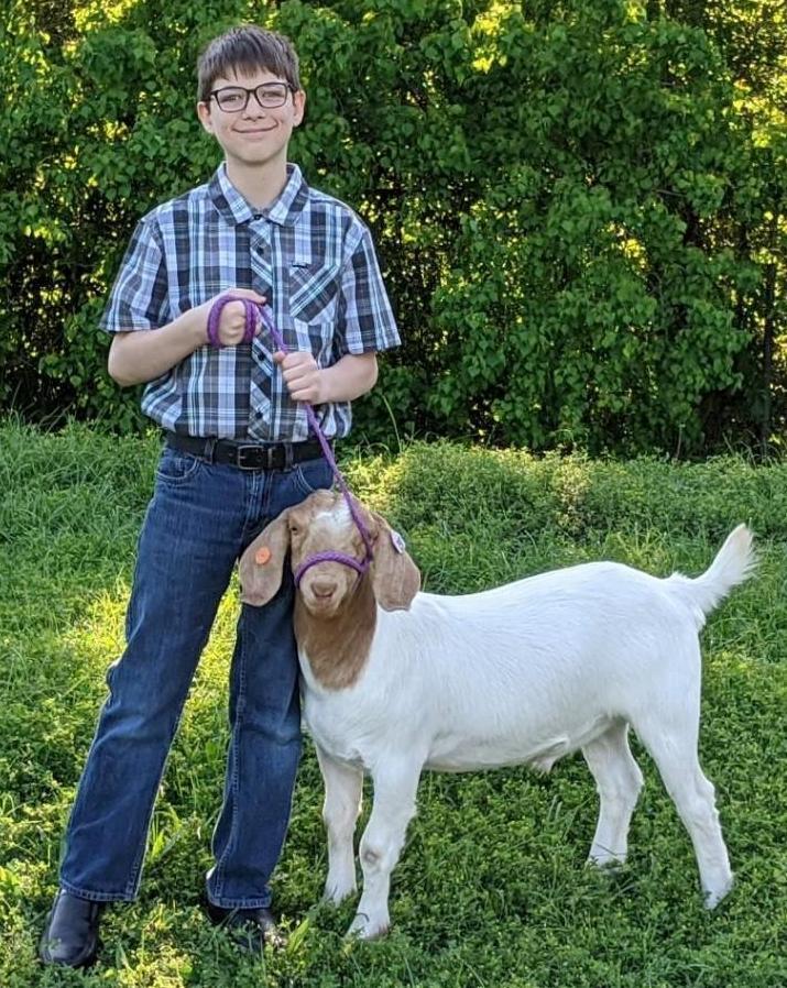 Market Goat - Waylon Velasco - Spring FFA