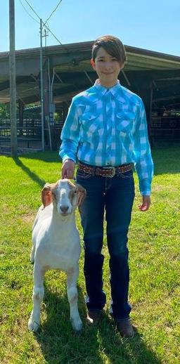 Market Goat - Emily Kroneman - Wunsche FFA