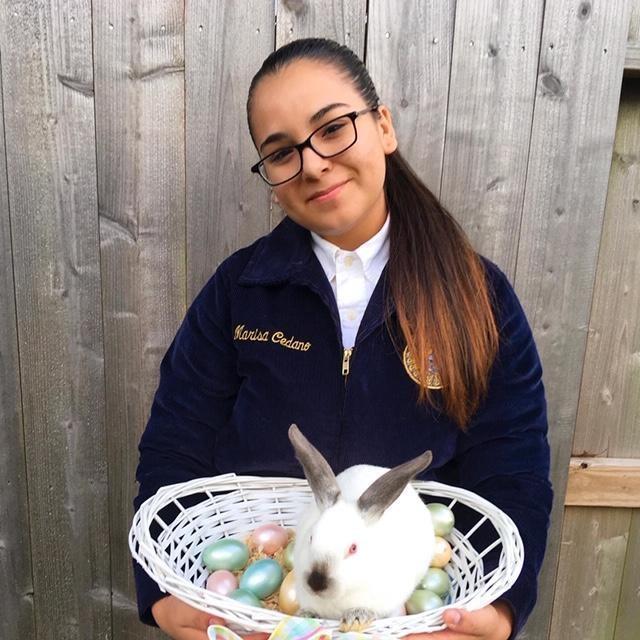 Single Fryer Rabbit - Marisa Cedano - Wunsche FFA