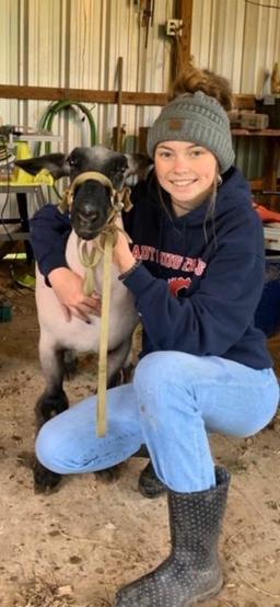 Sheep - Ashlyn Hahn - Madisonville FFA