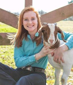 Goat - Madi Caperton - Lamb & Goat Club