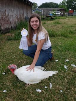 3rd Place Turkey Tom - Alisyn Couch - La Porte 4H - 9th Grade