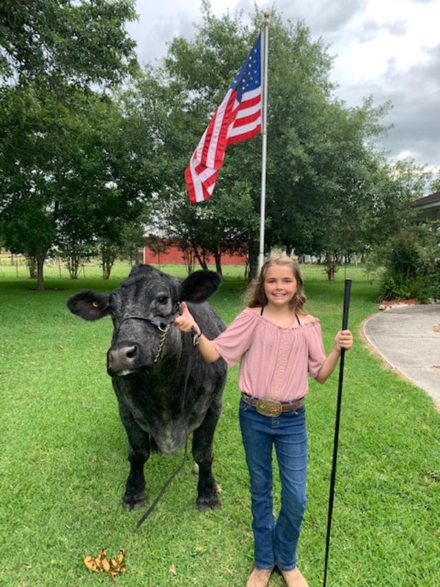 4th Place Steer Bella Stokley -La Porte Jr. FFA