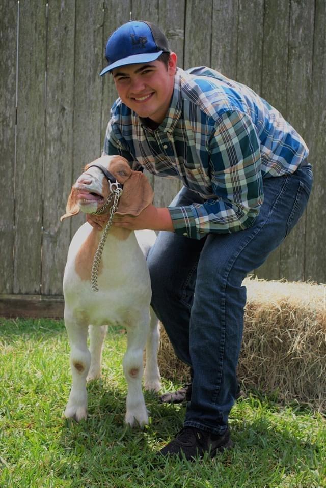 4th Place Goat - Jay Mcbee - La Porte FFA - 12th Grade