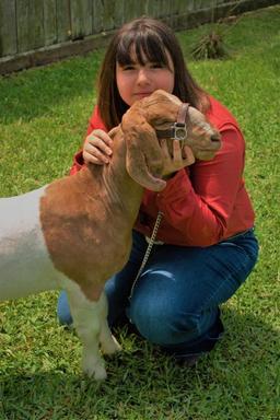 5th Place Goat - Abbi Powers - La Porte Jr. FFA - 7th Grade