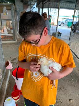 5th Place Broiler - Elijah Wicker - La Porte Jr. FFA & 4H