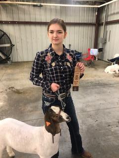After Market Goat - Haley Morse - La Porte FFA - 9th Grade