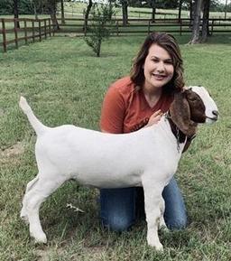 Reserve Champion Goat - Chelsea Lee - 4H