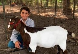 4th Place Goat - Austin Wallace - 4H