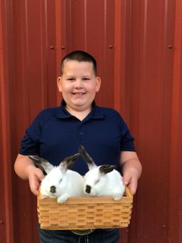 Grand Champion Fryer - Drew Kembro - 4H