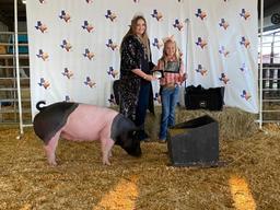 Grand Champion Swine - Summer Ogden - 4H