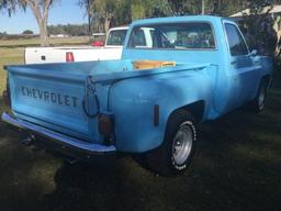 1977 Chevrolet Step Side