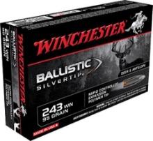 Winchester Ammo SBST243A Ballistic Silvertip Hunting 243 Win 95 gr Rapid Controlled Expansion