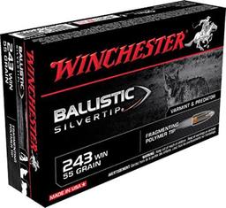Winchester Ammo SBST243 Ballistic Silvertip Hunting 243 Win 55 gr Fragmenting Polymer Tip 20 Per Box
