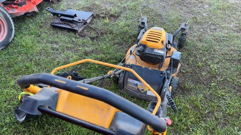 Electric Cub Cadet