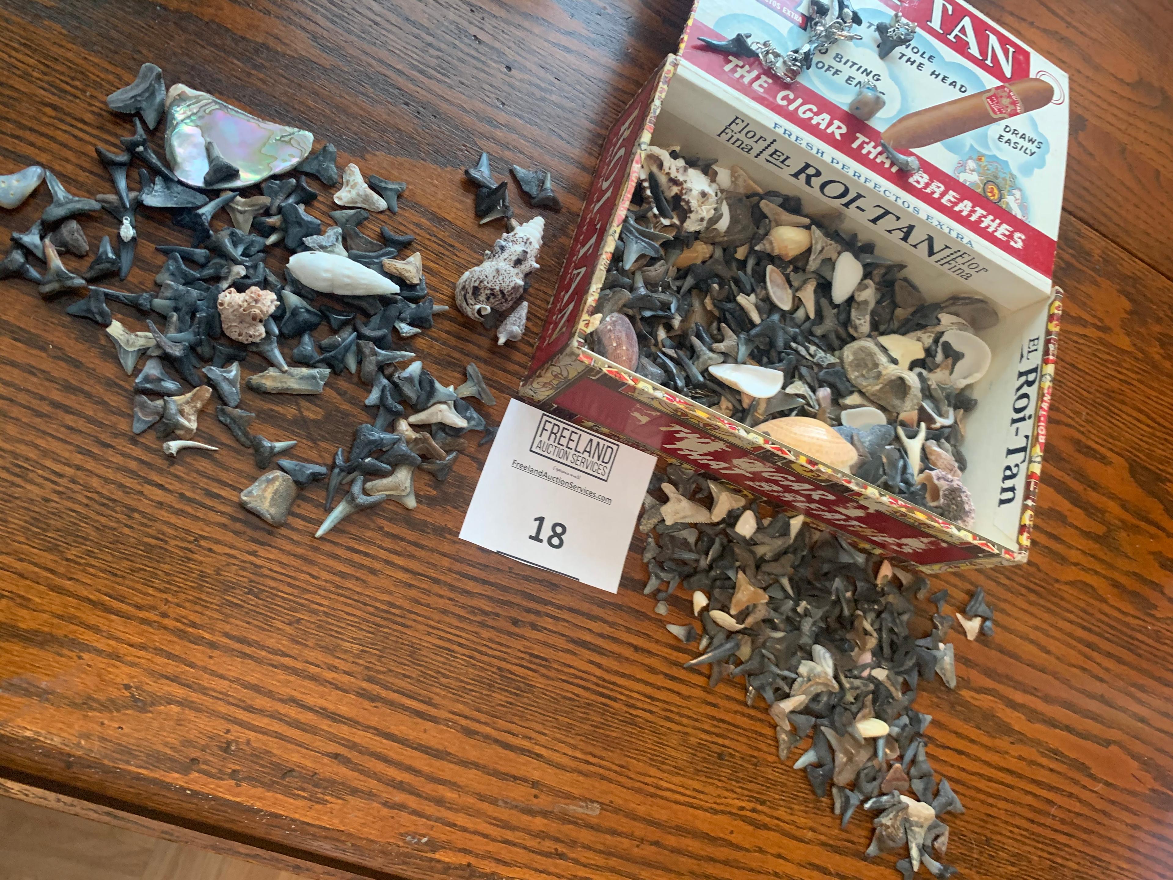 Huge Lot Of Shark Tooth And Shell Items For Jewelry Making