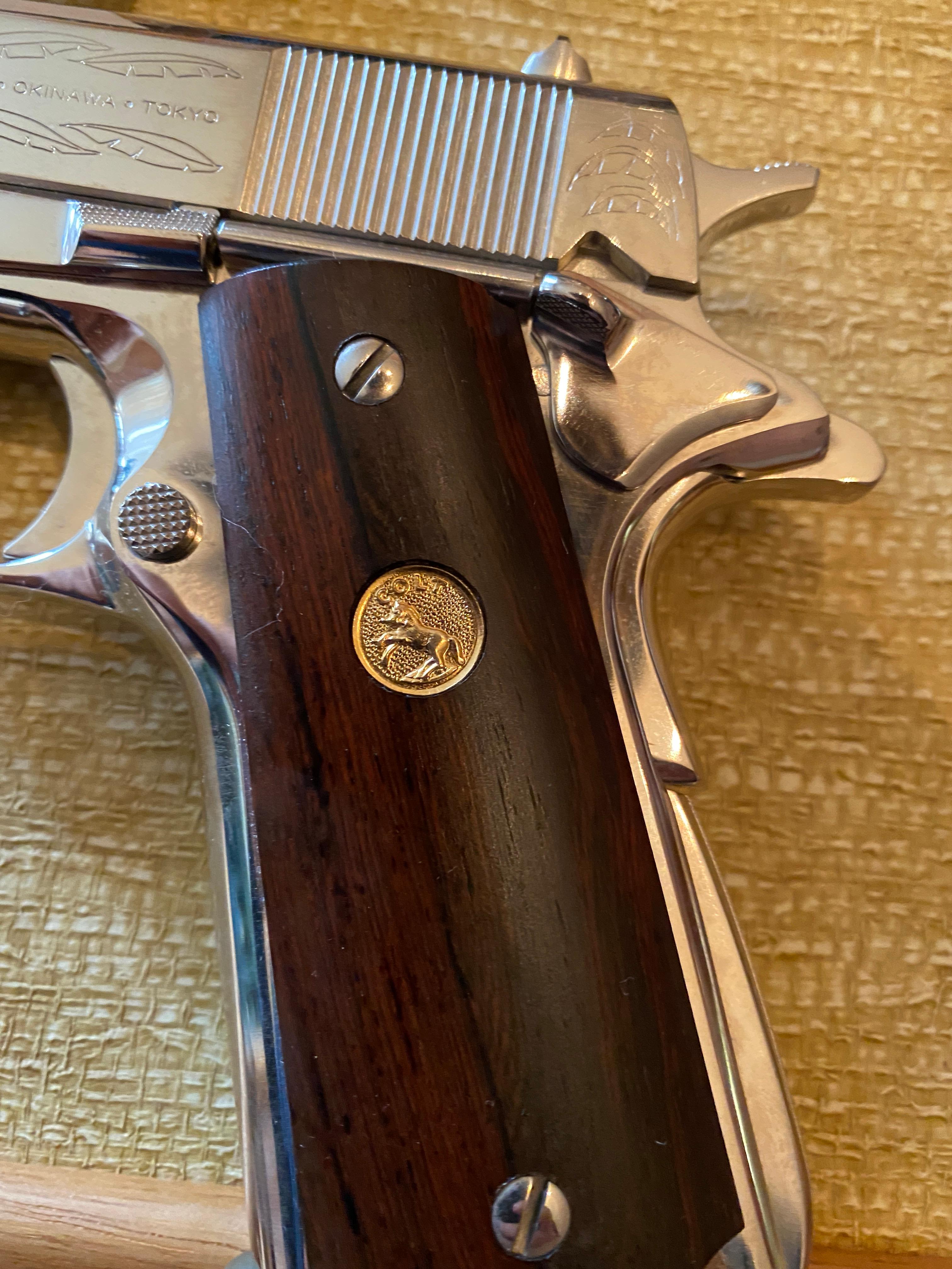 Colt .45 Caliber Government Model 45