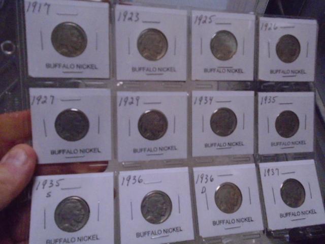 Group of 12 Assorted Date Buffalo Nickels