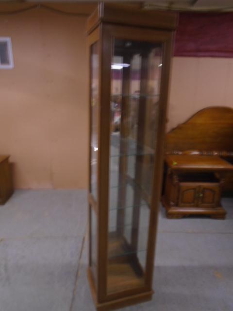 Lighted Curio Cabinet w/4 Glass Shelves