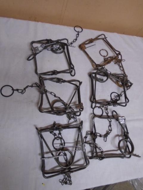 6pc Group of Conibear Traps