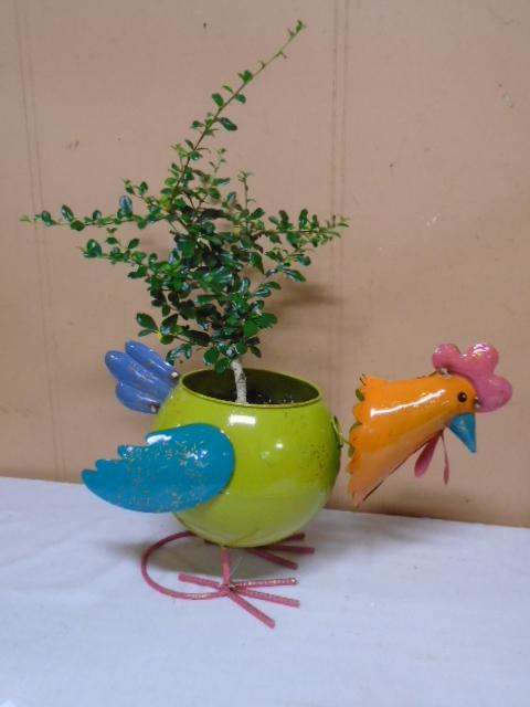 Metal Art Chicken Planter w/Plant