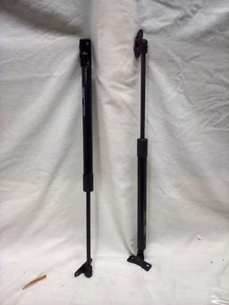 2 Rear Tailgate Lift Shocks