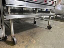 48 in. x 30 in. Stainless Steel Equipment Stand on Casters