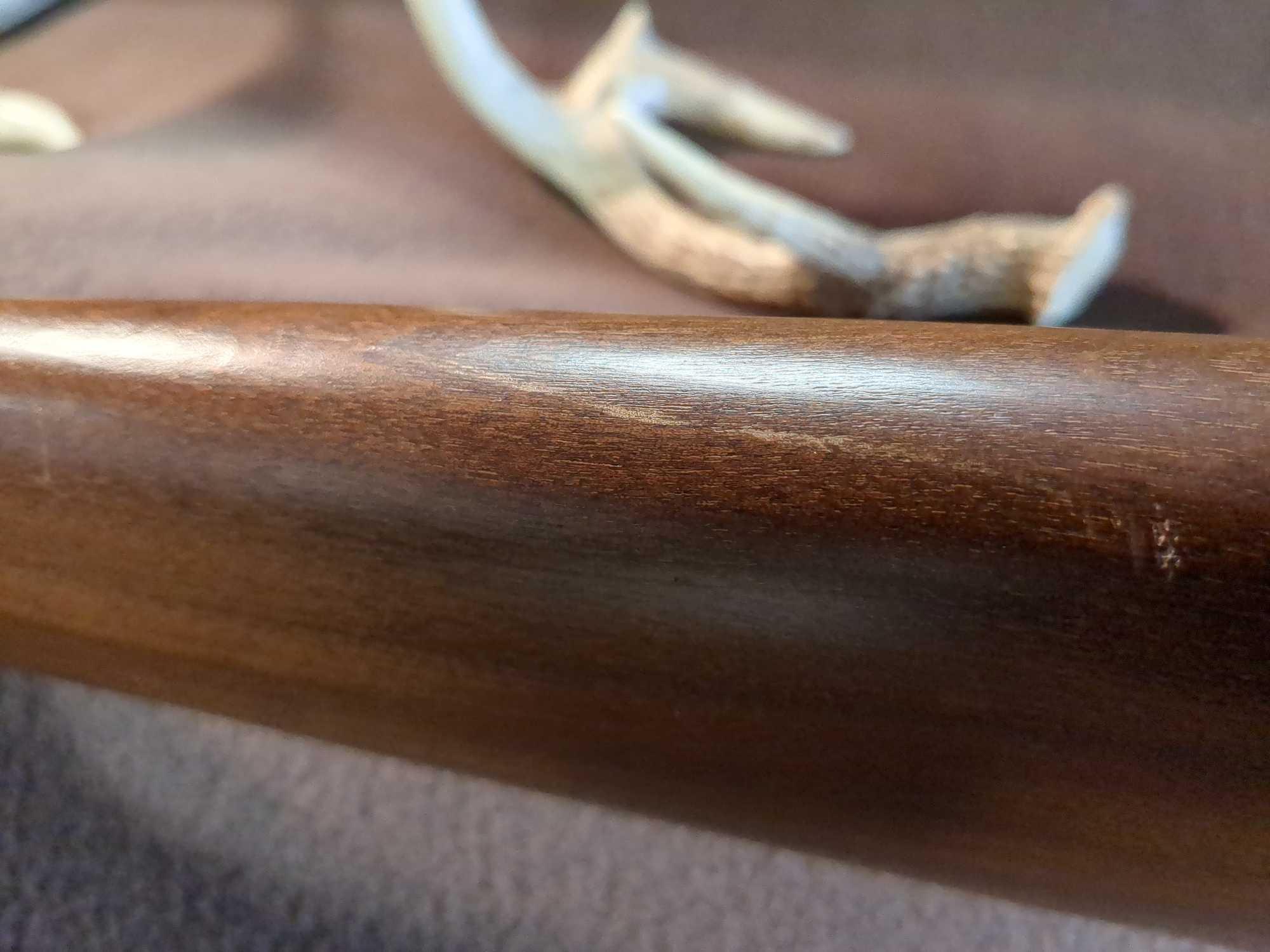 RUGER MODEL 10/22 CARBINE .22 LR SEMI-AUTO