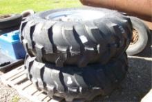 (2) 16.9x24 Tires w/rims