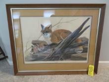 Framed Picture - Red Foxes