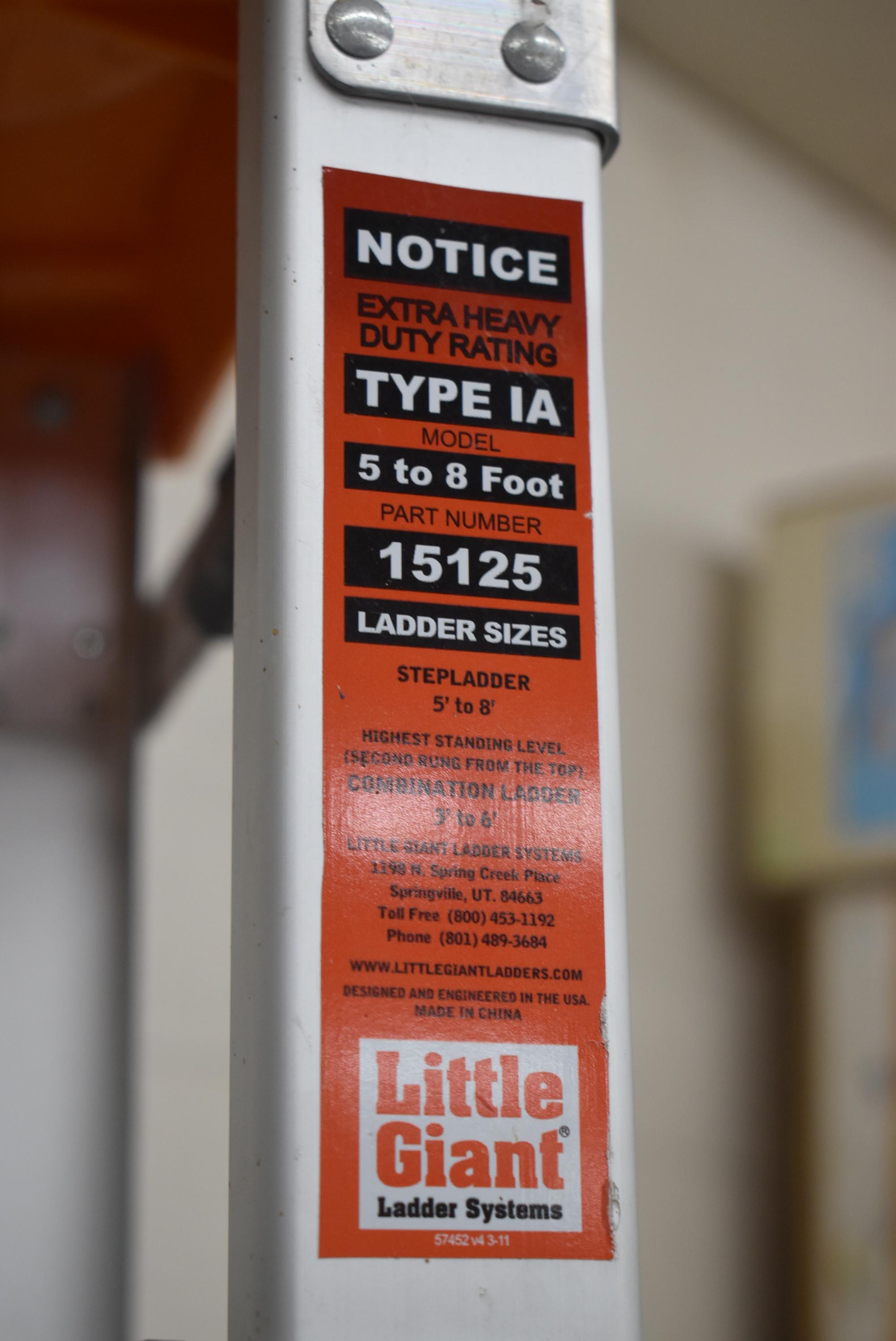 LITTLE GIANT LADDER!