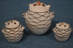 AMAZING EARLY ACOMA OWLS!