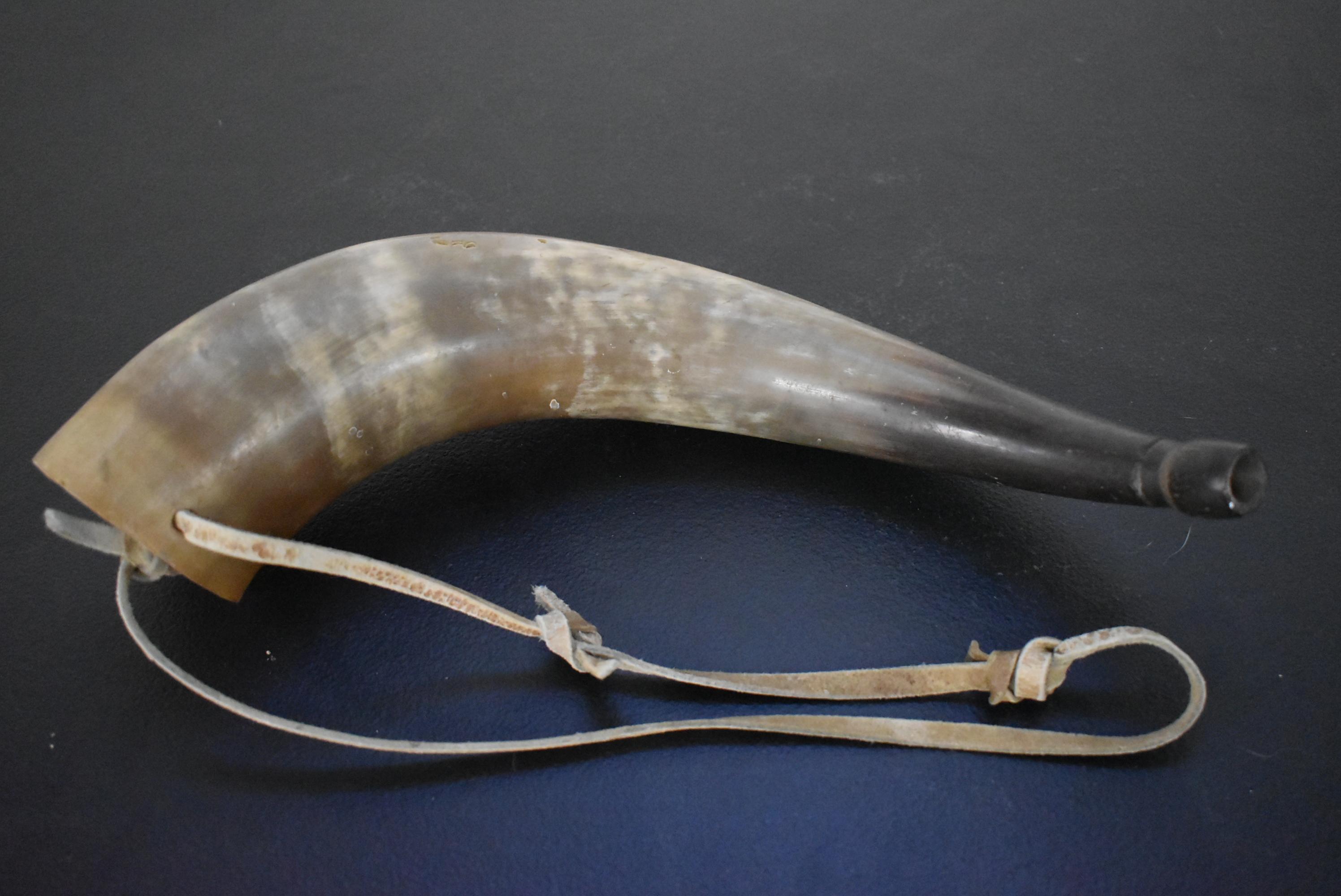 AUTHENTIC 15 INCH BUFFALO HORN!